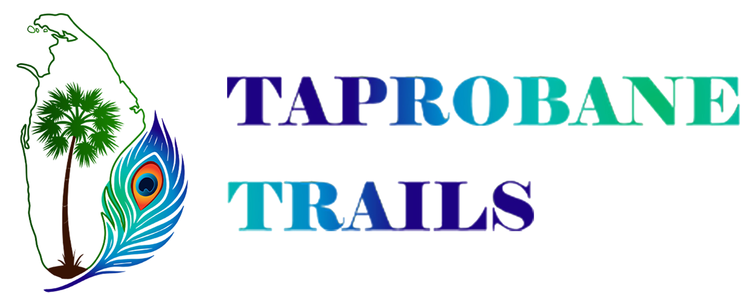 Taprobane Trails