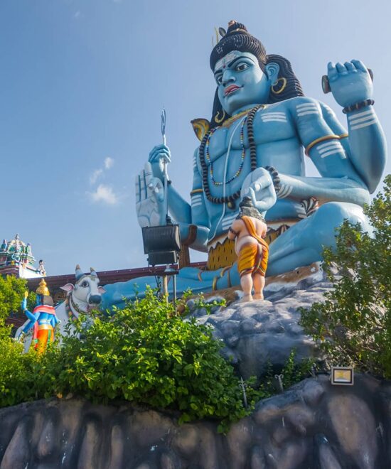 SHIVA TRAIL (A SACRED JOURNEY THROUGH SRI LANKA)