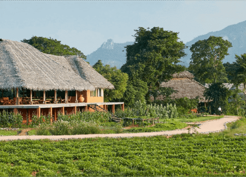 AYURVEDA & WELLNESS RETREAT (THREE DAYS OF HEALING & HARMONY)