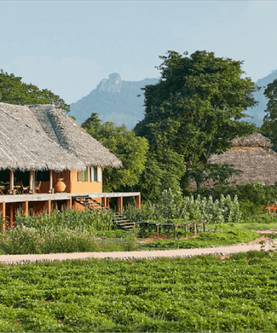 AYURVEDA & WELLNESS RETREAT (THREE DAYS OF HEALING & HARMONY)