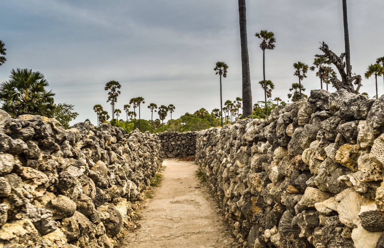 DELFT ISLAND