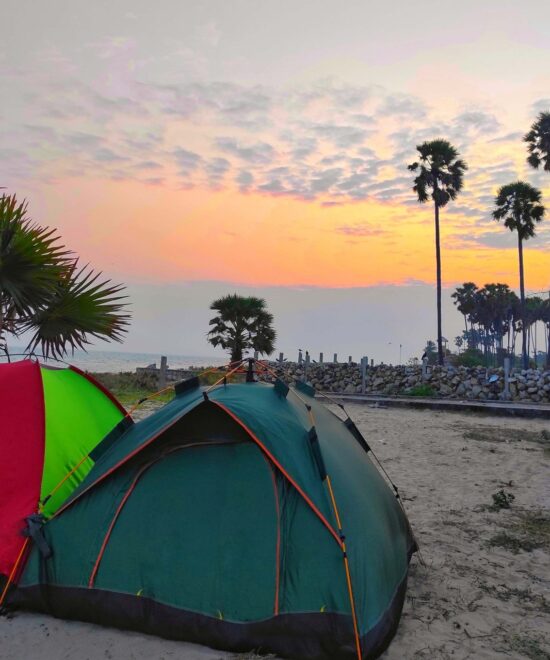 DELFT ISLAND DISCOVERY (TWO DAY TOUR PACKAGE)