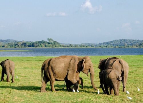 WILD NORTH (ONE DAY NATURE & WILDLIFE TOUR)