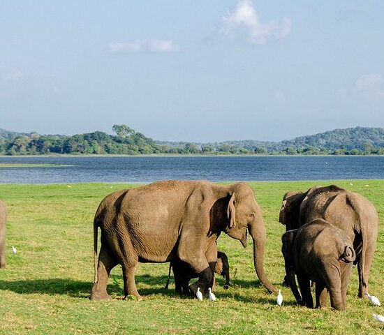WILD NORTH (ONE DAY NATURE & WILDLIFE TOUR)